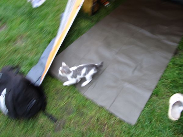 zdjecie Czerwona Woda