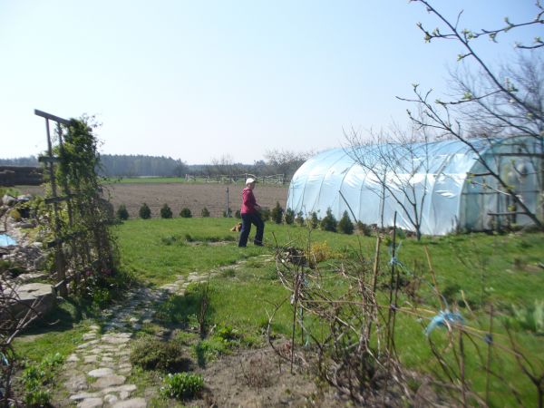 Poszukiwania "zajączka", 2010