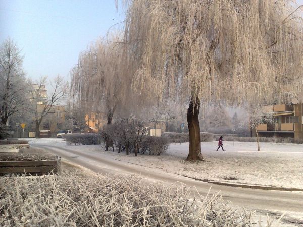 Osiedle Sienkiewicza