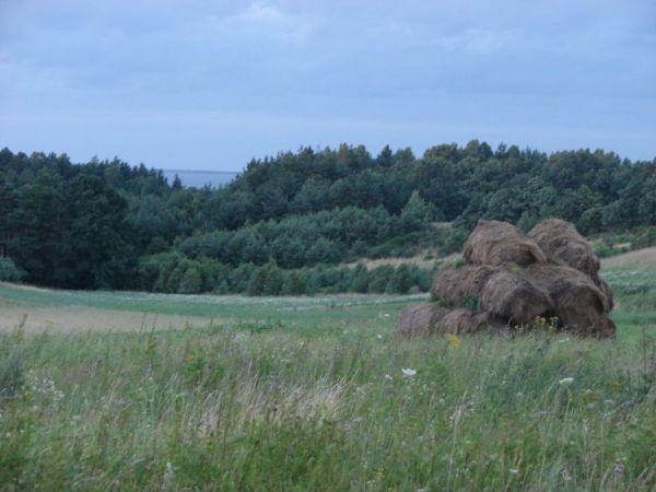 Pola, lasy i kawałek Zatoki Gdańskiej na horyzoncie.