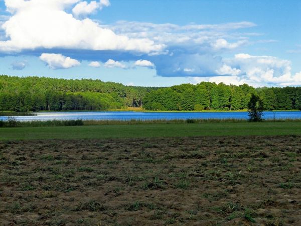 Jezioro Wieckie w Wiecku