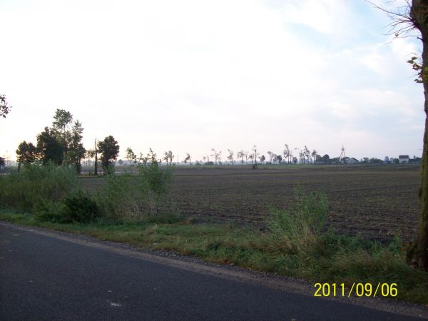 Połamane kikuty drzew przy drodze do Bachorc.