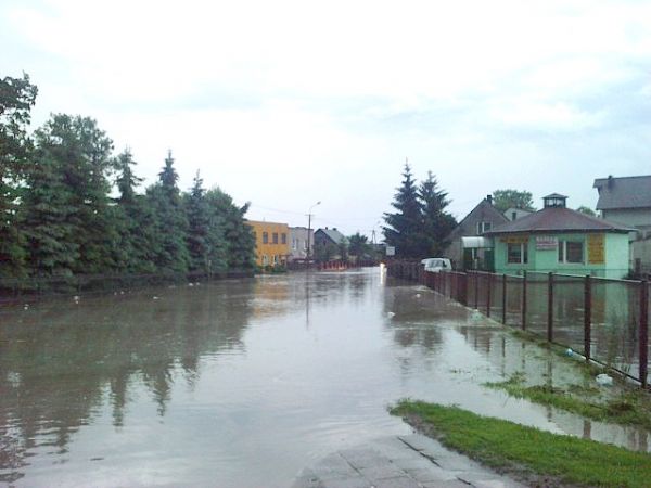 Zdjęcia Osiek-Kolonia