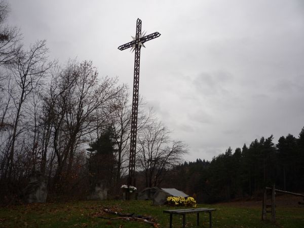 Krzyż Konfederatów Barskich na polanie obok Przełęczy Sanguszki.