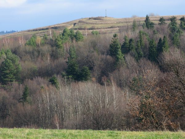 widoczna droga na szczyt góry z krzyżem oo. bazylianów - przez "Czerniec".