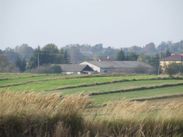 zdjecie Małochwiej Mały