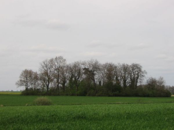 Cmentarz niemiecki z daleka.