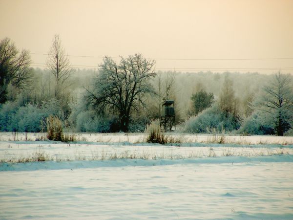 zdjecie Wola Uhruska