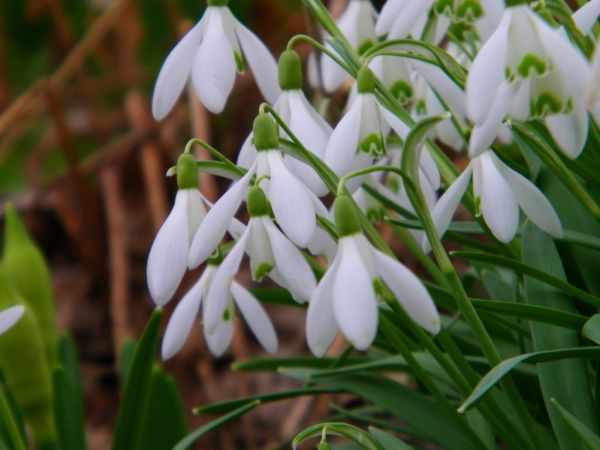 idą powoli spać liście mówią że może wrócą jak ktoś autostrady i czegoś nie postawi w tym miejscu