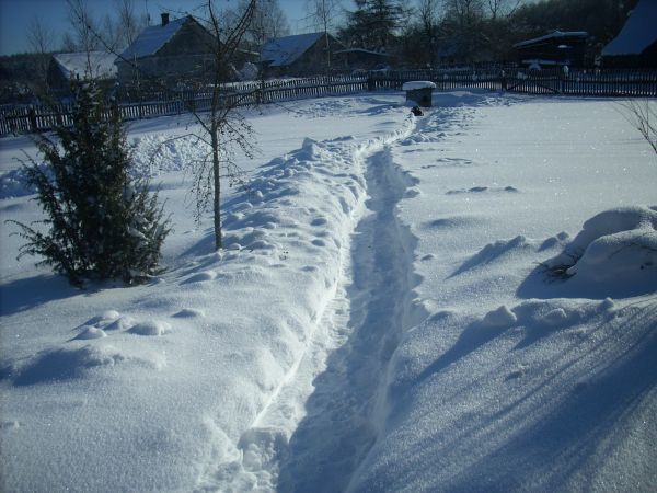 Ścieżka do pieska....