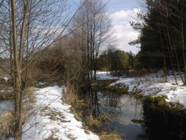 Zdjęcia Wólka Żabna