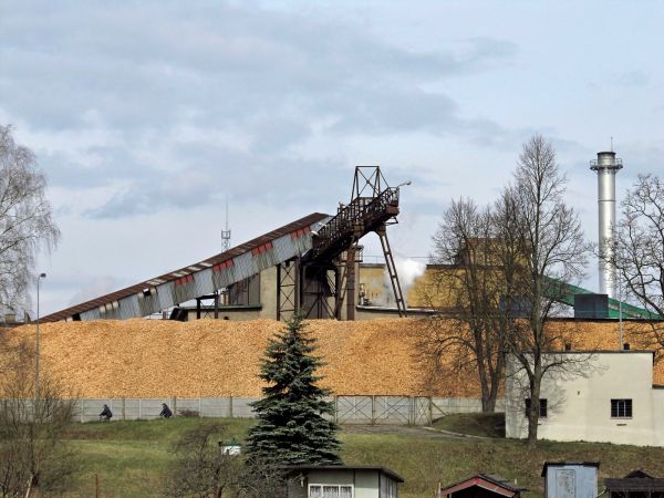 Surowiec służący do produkcji płyt pilśniowych w Steico