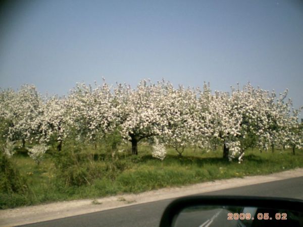 zdjecie Stare Kaliszany