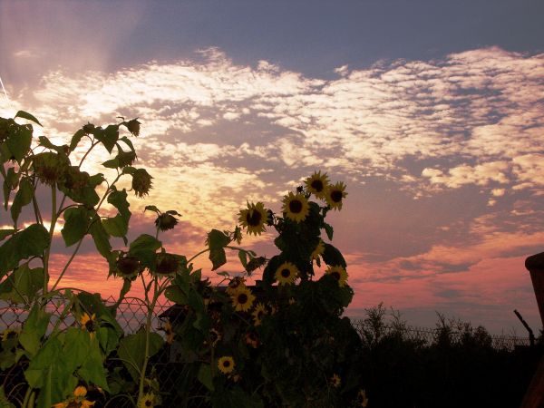 zdjecie Mały Bukowiec