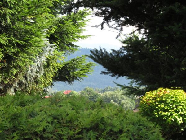 zdjecie Pietrzykowice