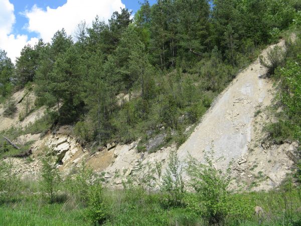 przy drodze : rumowisko po kiedyś czynnym kamieniołomie, zapraszam do galerii m. Karlików - tam też w opisach o kamieniołomie w m. Przybyszów - warto ! ponadto