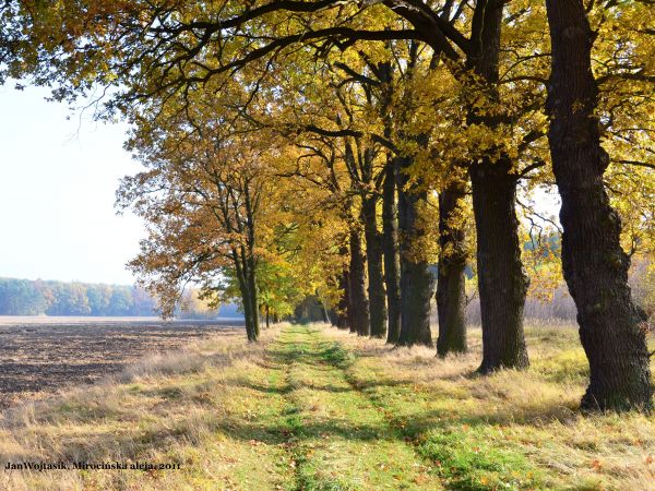 Zdjęcia Mirocin Dolny