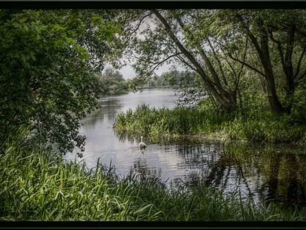 Zbiornik Droniowiczki...Lubliniec