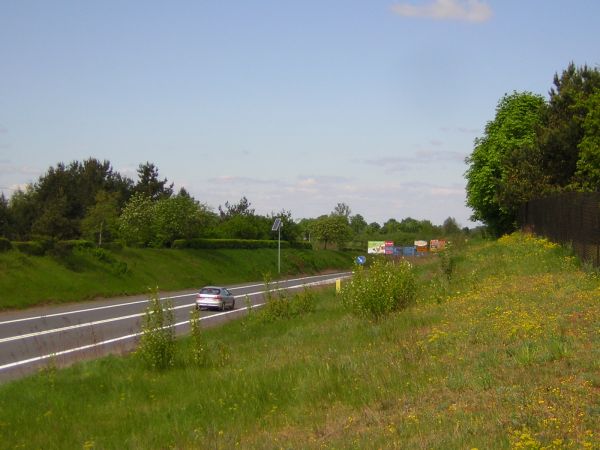 zdjecie Sulechów