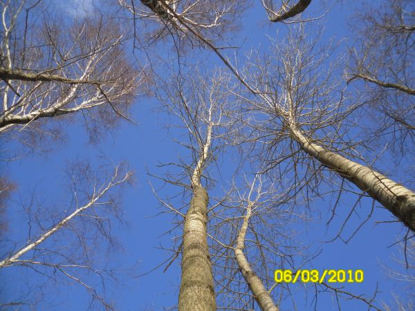 Mazurski błękit nieba