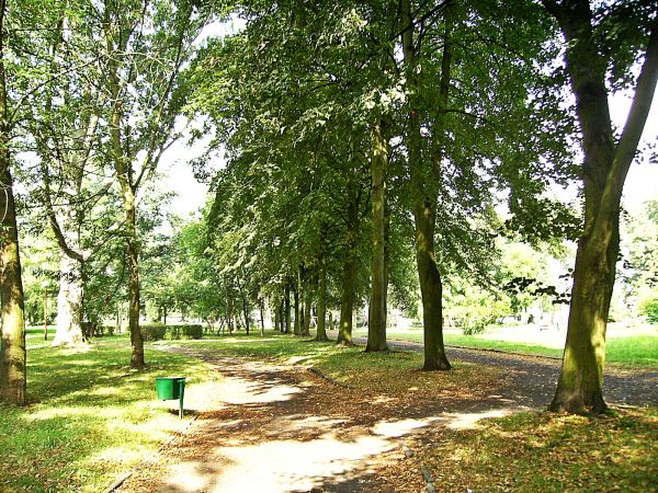 sulechów -park