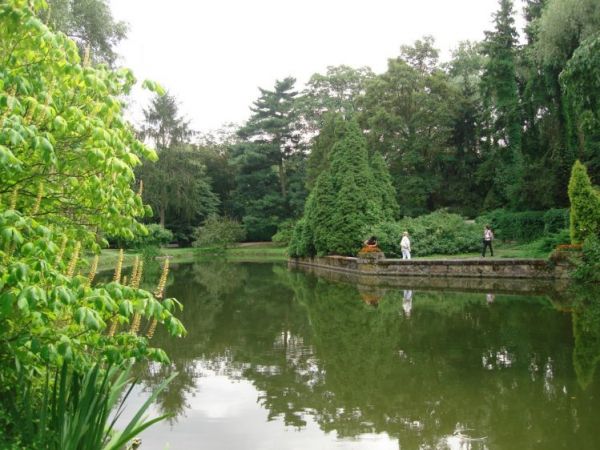 zdjecie Żelazowa Wola