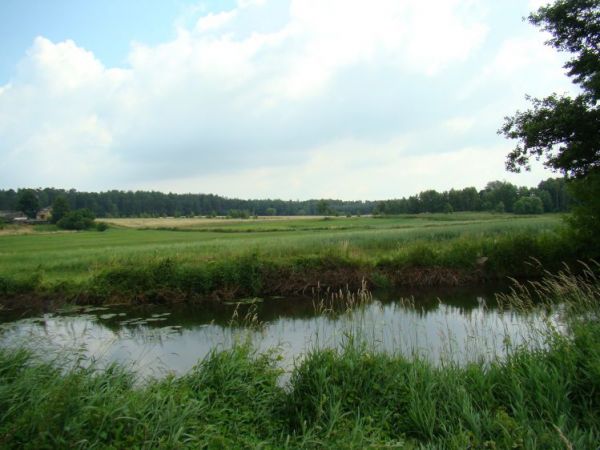 Widok na drugi brzeg rzeki