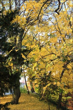 Klasztor i park  ss. Niepokalanek na Głębokiej.