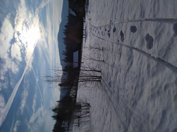 Widoki w Glince i Chatki u Omyłów.