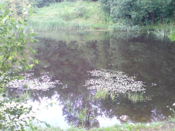 Wesołówka-zapadlisko pokopalniane zwane "dziewiątką"