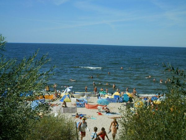 DOM GOSCINNY " BOROWIAK "-- 500m-- odleglosc od wejscia na piaszczysta polaze.