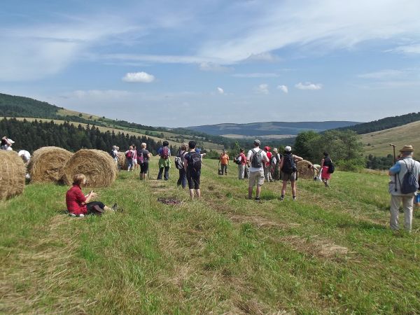 na wierzchowinie wzniesienia Rzepedka - 707m npm : baloty z sianokiszonką no i rozległa urzekająca panorama - po zejściu z Tokarni - 777m npm i Kamienia - 721m