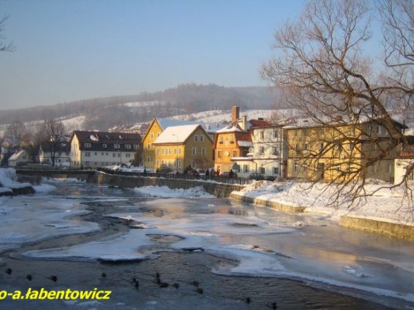 DZIKIE  KACZKI  NA  OBLODZONEJ  RZECE