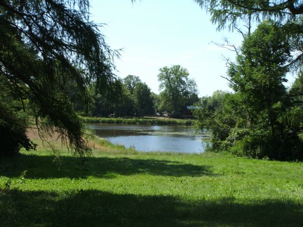 zdjecie Białowieża