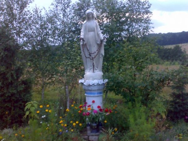 zdjecie Nowe Jaroszowice