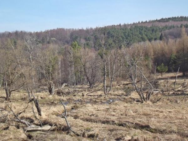 szlakiem miejsc po śladach niegdysiejszych wsi - tu podczas wędrówki do  Zubeńska.