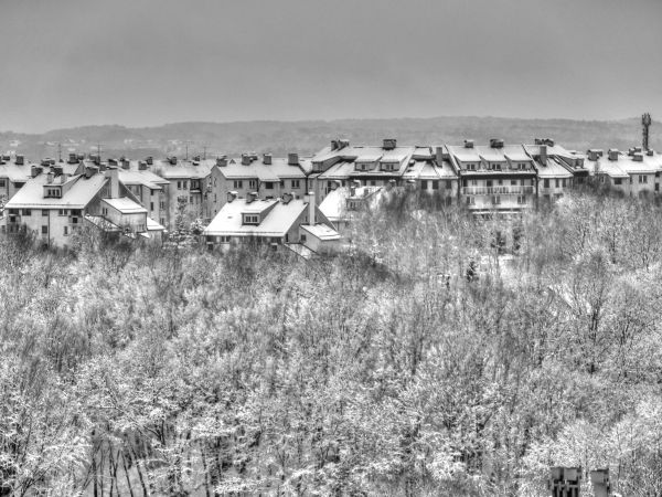 zdjecie Wodzisław Śląski