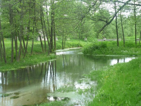 Rozlewisko przy Cudownym Źródle