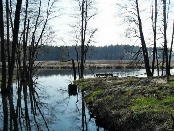 zdjecie Studzienice