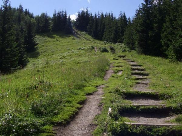 zdjecie Zakopane