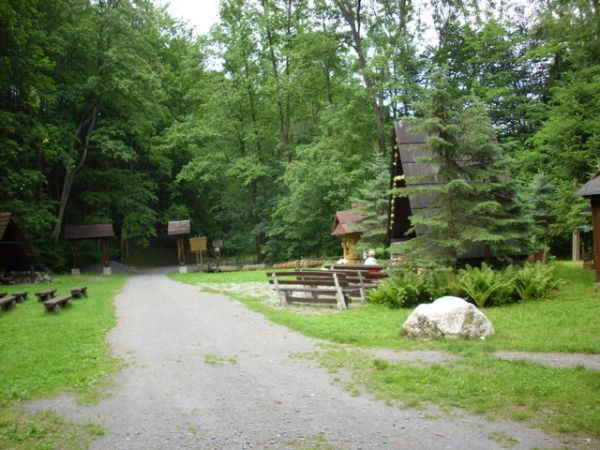 polana z letnią kaplisą