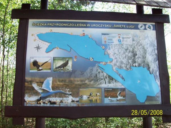 „Święte Ługi”,