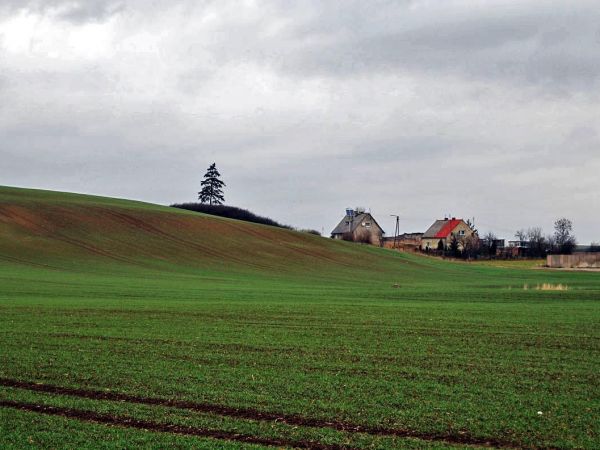 Poliksy-zabudowania w polu.