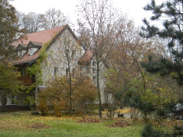 Zespół pałacowo-parkowy 03 listopada 2011