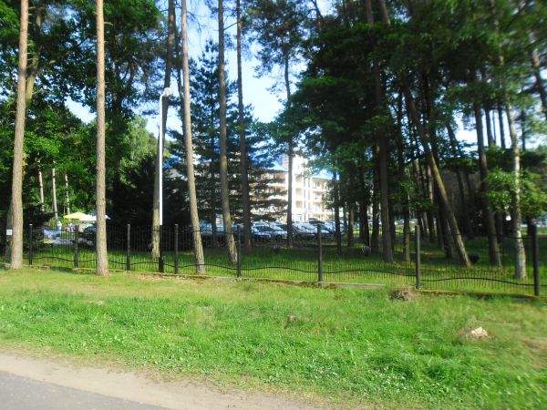 Droga przez las do APARTAMENTÓW SOSNOWYCH nad morzem Blue Mare w Łukęcinie