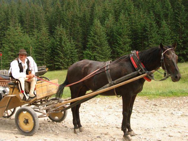 Dolina Chochołowska, Kościelisko