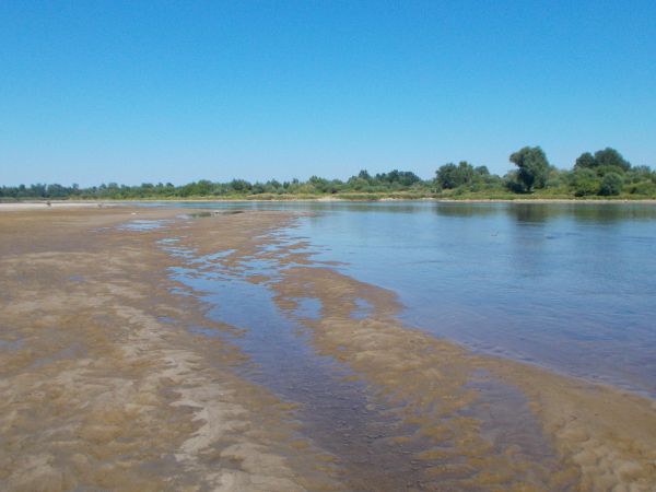 W upalne lato ,woda ustępuje miejsce ciekawym i zmiennym  obrazom dna Wisły ,