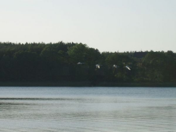 zdjecie Tręby Stare