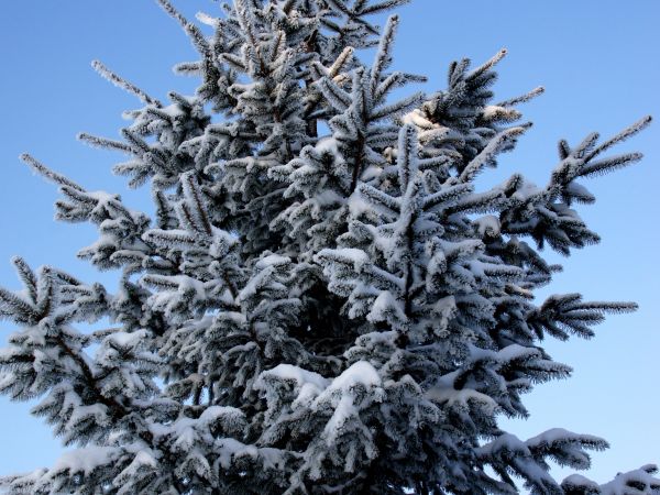 Zima 2010/11
       - 5 -