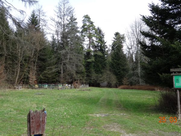 pasieka - na jednym z pól ekspozycyjnych / prezentacji "Ścieżki przyrodniczo - edukacyjnej", tam niegdyś leśniczówka była i inne zabudowania gospodarcze.